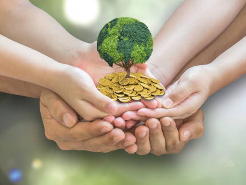 Enquête commission environnement