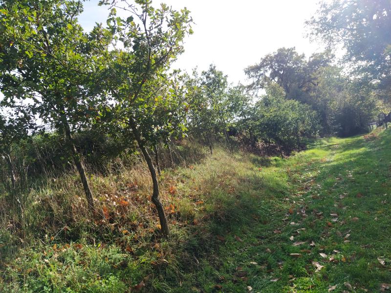 Sentiers pédestres - Pistes cyclabes