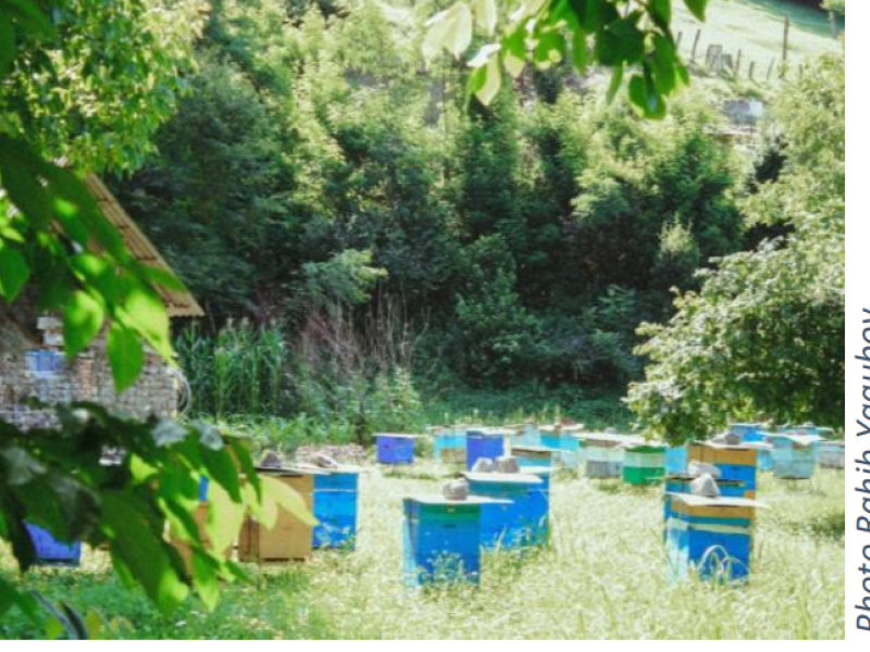 Règlementation apiculture